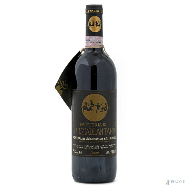 Montefalco Sagrantino Colleallodole DOCG, Fattoria di Milziade Antano, 2009