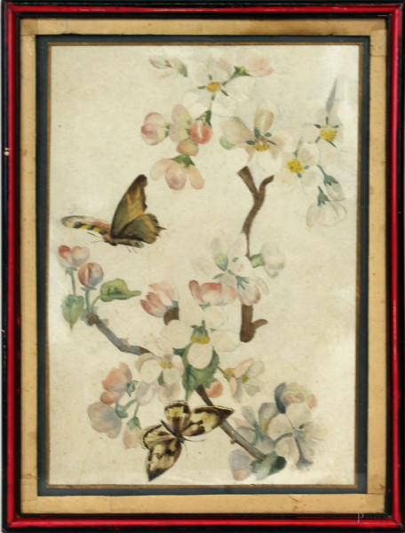 Rami in fiore con farfalle, acquarello su carta, cm 25x17, XX secolo, entro cornice.