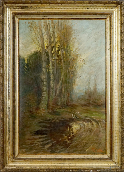 Guido Casciaro - Paesaggio boschivo, olio su cartone, cm 46x30, entro cornice.