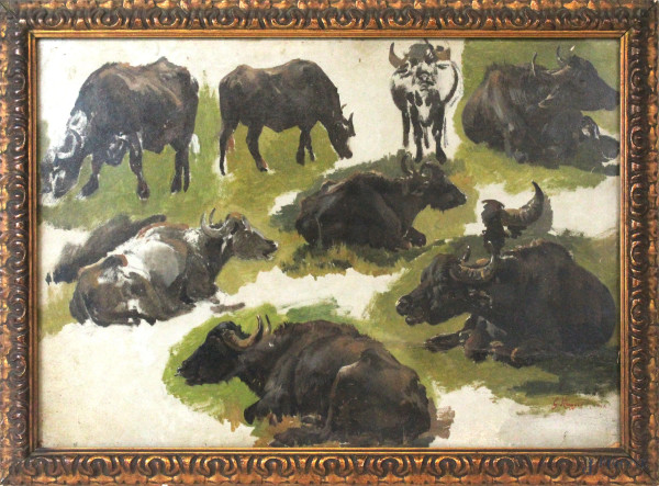 Studio di bisonti, olio su cartone, cm 38x53,5, firmato, entro cornice.