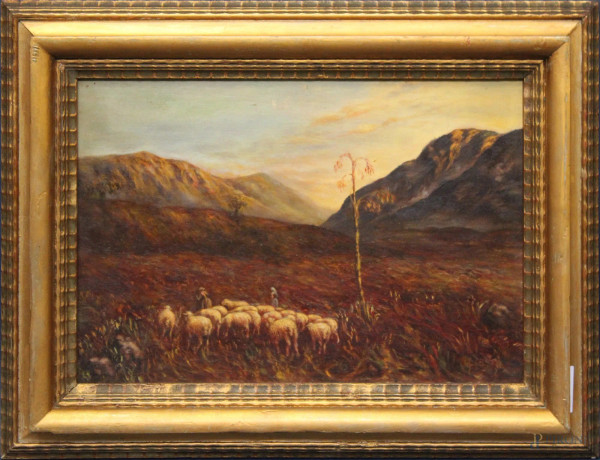 Paesaggio con pastori e gregge, olio su tavola, cm 25 x 36, entro cornice.