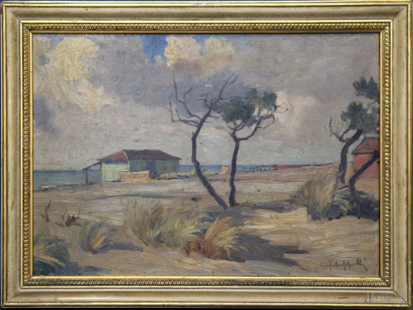 Cafiero Filippelli - Paesaggio maremmano, olio su legno, cm 25 x 35, entro cornice.