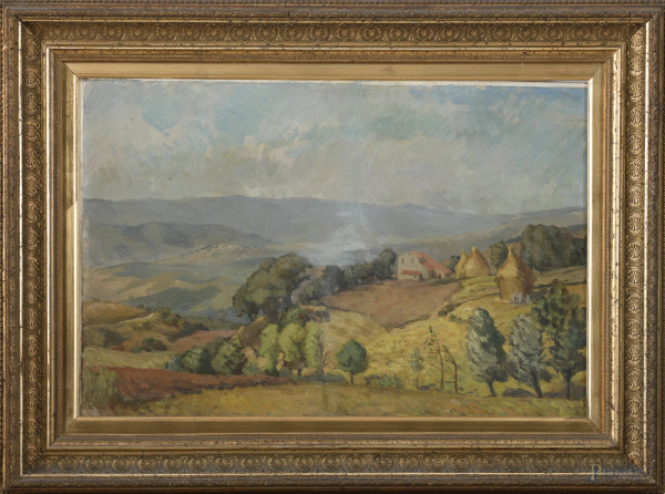 Paesaggio collinare, XX secolo, olio su cartone pressato telato, cm 41x62, entro cornice, (segni di usura, abrasioni, difetti)
