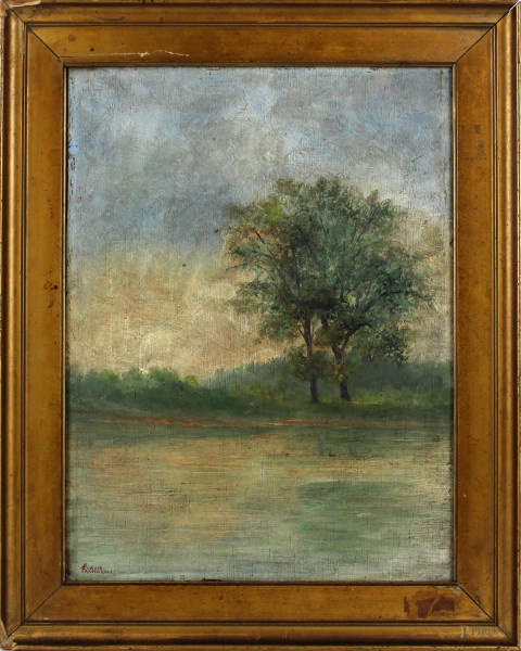 Paesaggio fluviale con albero, olio su tavola, cm 37x27, firmato Frascaroli Flavio, entro cornice