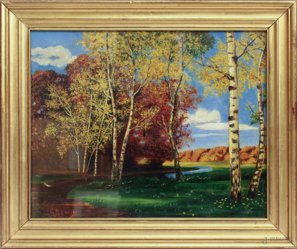 Paesaggio boschivo, dipinto ad olio su tela riportata su cartoncino, firmato, cm 36 x 44, entro cornice.
