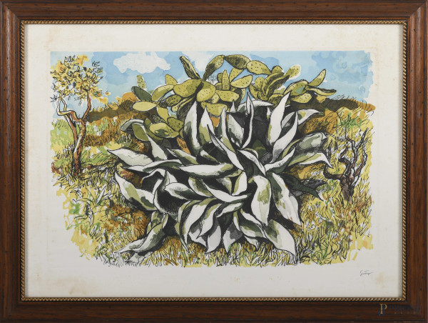 Aloe e fichi d'india, litografia, cm 50x70 entro cornice, firmato in basso a destra 
