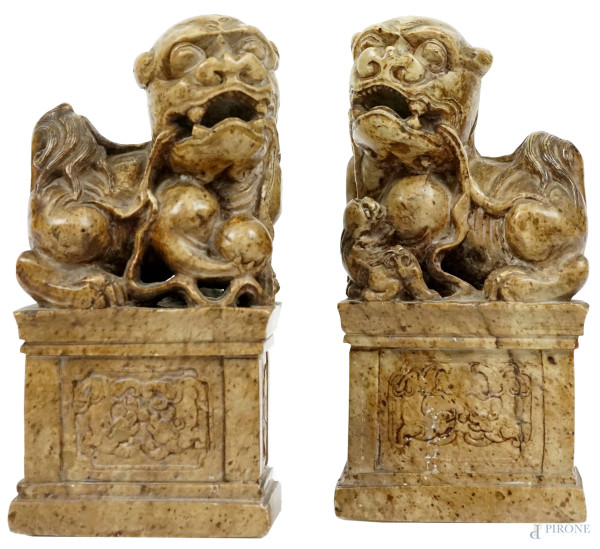 Coppia di cani di Phoo in pietra saponaria, arte orientale, XX secolo, cm h 18,5x9x6