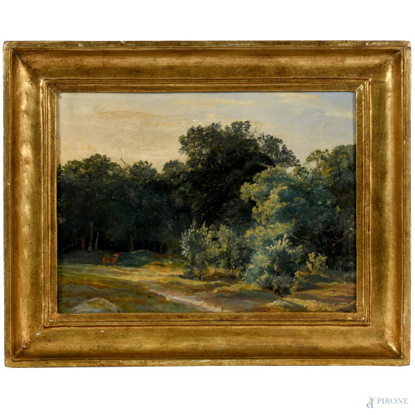 Paesaggio boschivo con cerbiatto, XIX secolo, olio su tela, cm 26x32,5, entro cornice, (difetti)