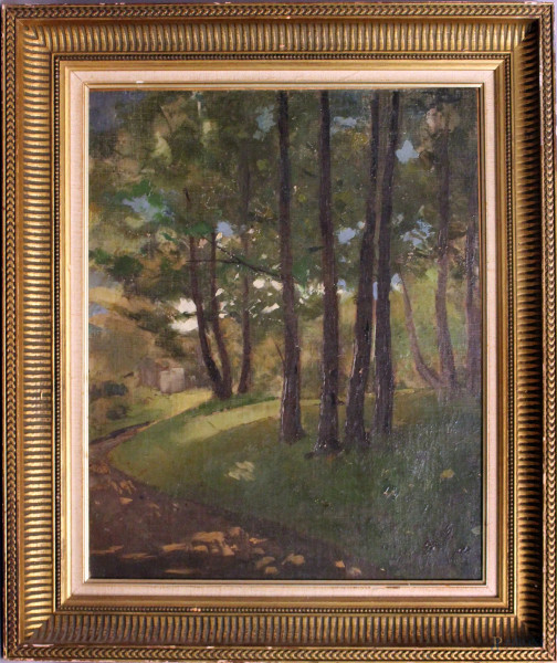Paesaggio boschivo, olio su tela, inizi XX sec., cm 54 x 36.