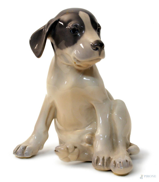 Porcellana royal Copenhagen, raffigurante cagnolino, H 20 cm.