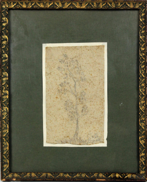 Studio di albero, matita su carta, cm. 16x9,5, firmato G. Gigante, entro cornice.