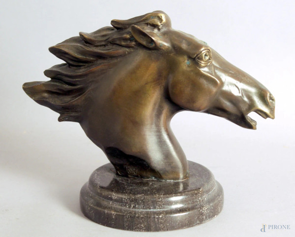 Testa di cavallo, scultura in bronzo, base in marmo, altezza 16 cm.