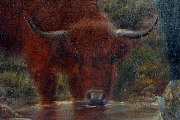 Pittore inglese del XIX secolo, Bisonti al pascolo, olio su tela, cm 61x92, entro cornice.
