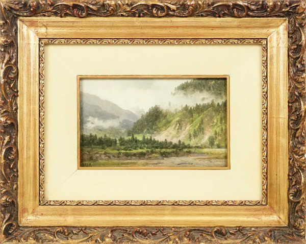 Paesaggio montano, olio su cartone, XX secolo, firmato in basso a sinistra, cm 15x24, entro cornice