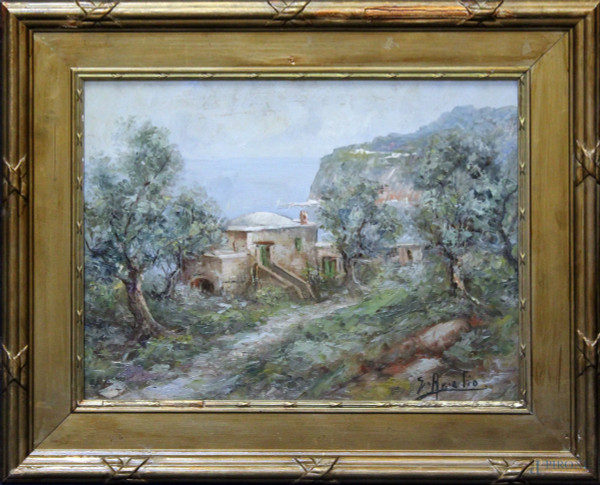 Scorcio di Capri, olio su tavola firmato, cm 30 x 40, entro cornice.