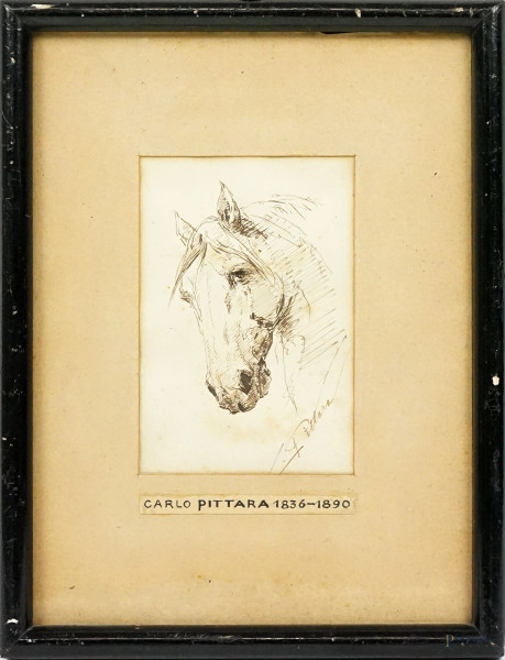 Carlo Pittara - Cavallo, disegno ad inchiostro brunito su carta, cm 12x8 circa, entro cornice.
