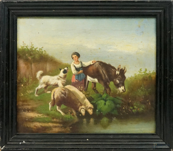 Pastorella con asinello e  pecorelle, olio su tela, cm 24x28,5, fine XIX secolo, entro cornice, (cadute di colore)