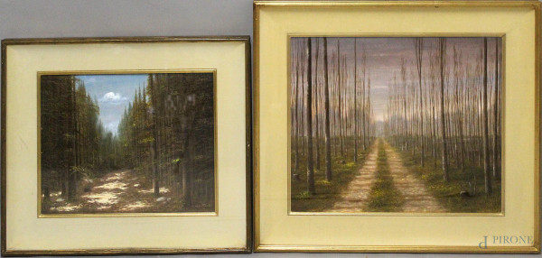 Coppia di paesaggi ad olio su masonite 50x60 - 40x50 cm, entro cornice firmato.