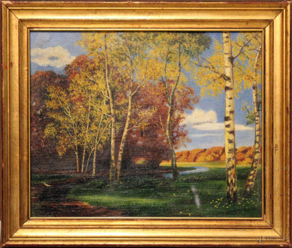 Paesaggio boschivo, olio su tela riportato su cartone, 34x44 cm, entro cornice
