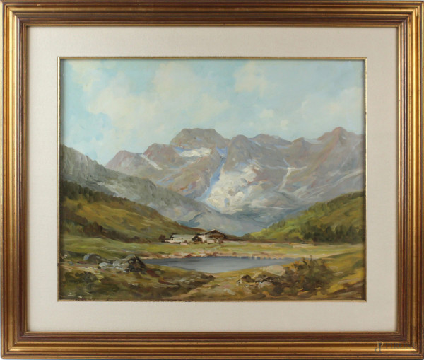 Paesaggio montano, olio su cartoncino, cm 38x48, XX secolo, entro cornice