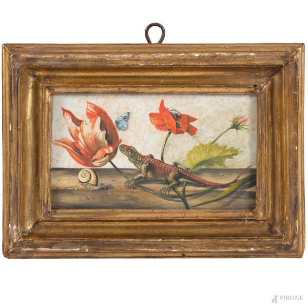 Ramarro con fiori, farfalla e lumaca, XIX-XX secolo, tempera su carta applicata su tavola, cm 11,5x19,5, entro cornice, (tracce di umidità, segni di usura)