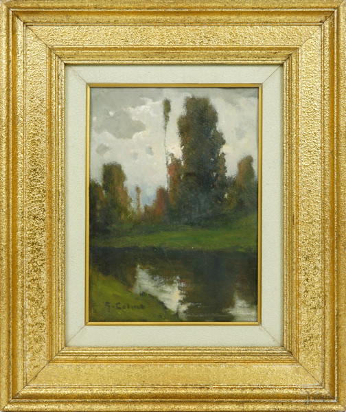 Paesaggio fluviale, olio su cartone telato, firmato, cm 29,5x23, entro cornice