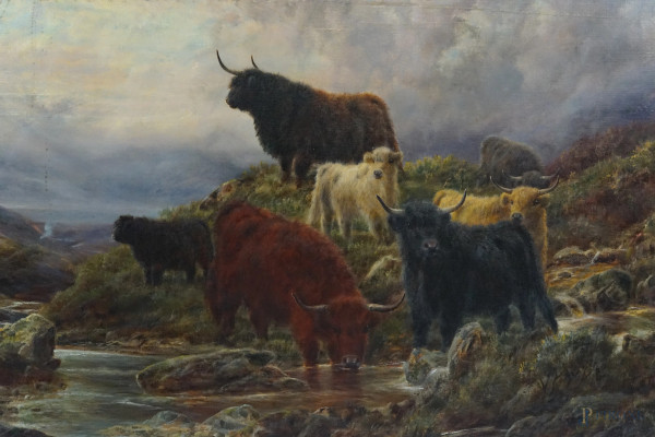 Pittore inglese del XIX secolo, Bisonti al pascolo, olio su tela, cm 61x92, entro cornice.