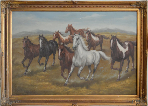 Cavalli, olio su tela 60x90 cm, entro cornice.
