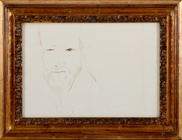 Volto virile, inchiostro su carta, firmato  in basso a destra "Provino", cm 34x49,5