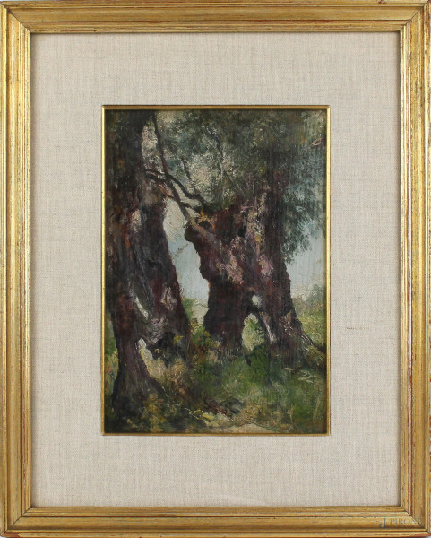 Paesaggio con albero, olio su tavola, cm 25,5x18, XX secolo, entro cornice
