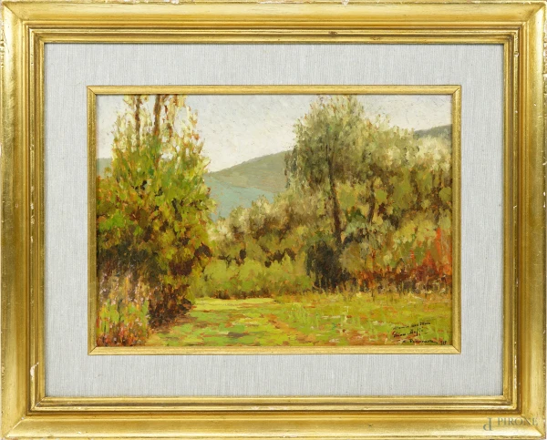 Alberi, olio su compensato, firmato e datato in basso a destra, cm 26x36,5, entro cornice