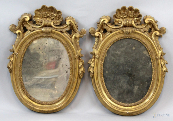 Coppia di specchiere ovali, XVIII secolo, in legno intagliato e dorato a motivi di conchiglie e fiori, cm h 52.