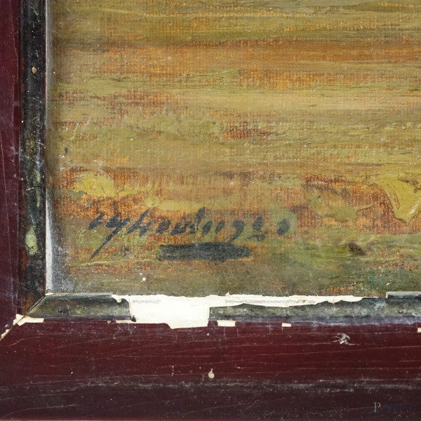 Bordighera, olio su tela, cm 43,5x63, firmato in basso a sinistra "C. Gheduzzi", entro cornice. (...