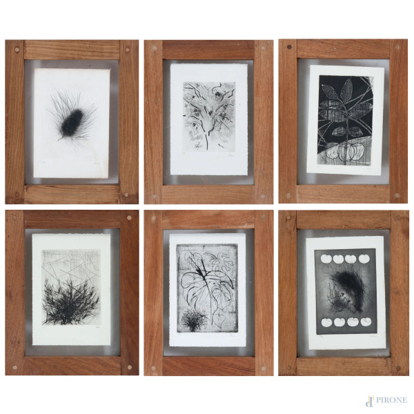 Guido Strazza, lotto di 6 incisioni astratte, firmate in basso es. 10/50, misure massime cm 26x18, entro cornice