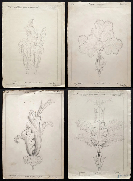 Lotto composto da otto disegni ornamentali ottocenteschi raffiguranti studi di botanica, grafite su carta, cm &#160;24x33, firmato e datato Ugo Tinozzo - 1888