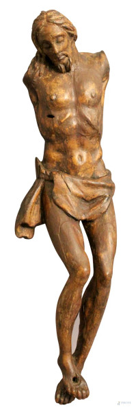 Cristo in legno di quercia intagliato, XVIII sec., H 55 cm, mancante di braccia.
