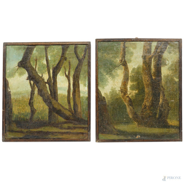 Due dipinti rappresentanti scorci di bosco, olio su tela, XX secolo, misure max cm 30x24, entro cornice, (cadute di colore)