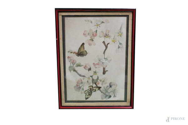 Farfalle su rami, acquarello su carta, 18x25 cm, entro cornice, primi 900.