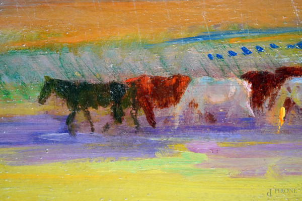 Campagna romana con armenti, olio su cartone telato, firmato, cm 45,5x115, entro cornice