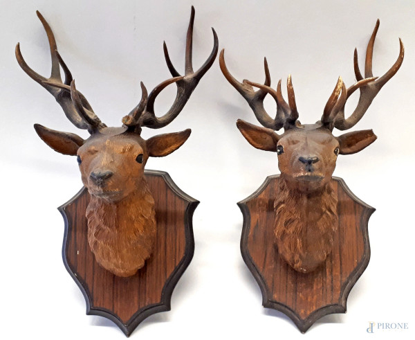 Coppia di trofei di caccia realizzati in resina raffiguranti teste di cervo adulto con palco di corna, cm 30x19