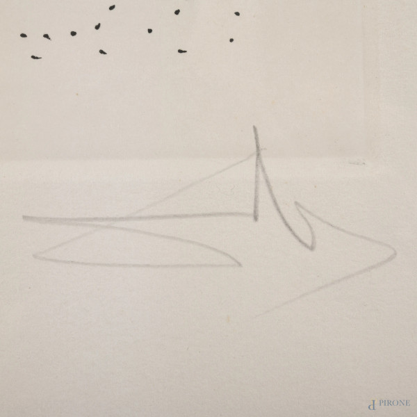 Lotto di cinque litografie di Salvador Dalì, misure massime cm 46x37 compreso passepartout, firma...