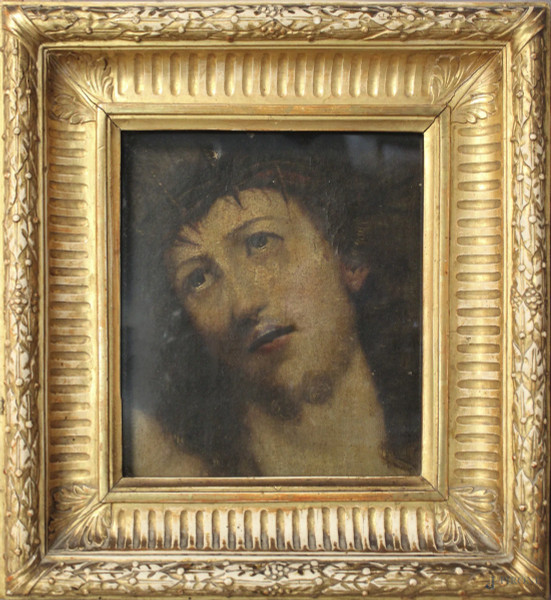 Cristo, frammento ad olio su tela, cm 33 x 24, Scuola bolognese, XVII sec, entro cornice.