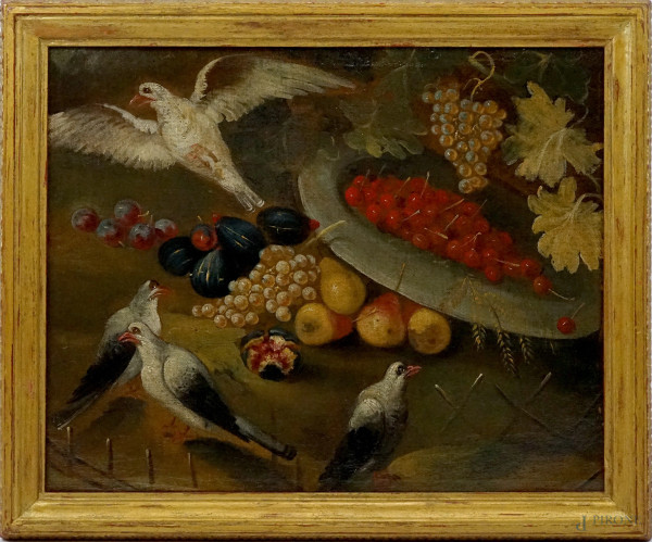 Maestro di ambito lombardo del XVIII secolo, Natura morta con frutta e volatili, olio su tela, cm 57,5x72, entro cornice