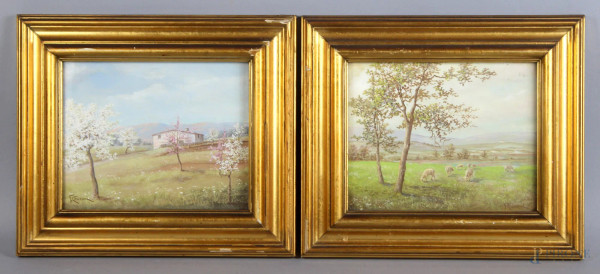 Giuseppe Cecconi - Coppia di paesaggi, olio su cartoncino, cm. 15x19, entro cornice.
