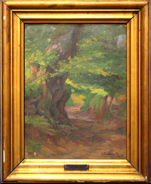 Scorcio di bosco, olio su cartone firmato J. Salas, cm 31 x 22, entro cornice.