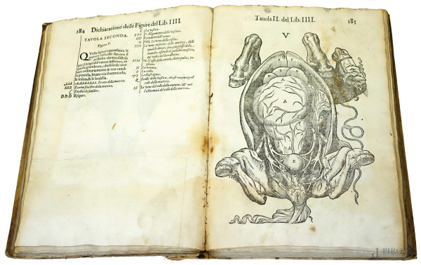 Anatomia del cavallo. Infermità et i suoi rimedii […], con due bellissime Tavole una de' capitoli e l'altra delle cose notabili, in Venezia, MDCXVIII, (difetti, macchie e pagine recise).