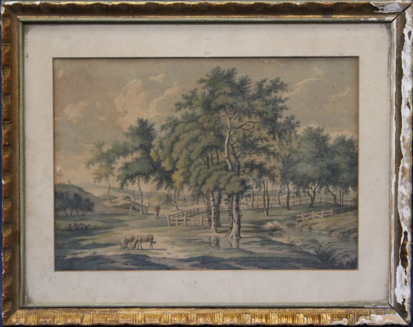 Paesaggio con pastore e gregge, acquarello, cm 29 x 21, entro cornice.