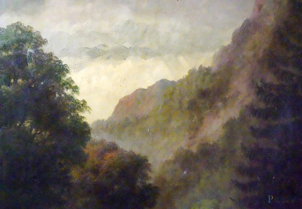 Torrente nel bosco, olio su tela, firmato in basso a destra Charles Stuart, cm 152.5x106, entro c...