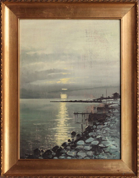 Scorcio di costa, olio su cartone telato, cm 40 x 30, firmato Fergian, entro cornice,