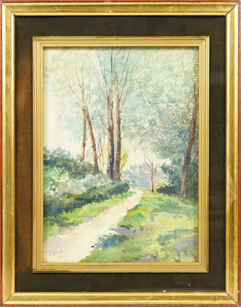 Scorcio di bosco con sentiero, acquarello su carta, firmato, cm 35x25, entro cornice